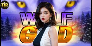 Slot Wolf Gold Tipclub: Chinh Phục Vùng Hoang Dã & Săn Giải Thưởng Lớn