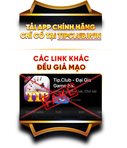 banner-tipclub